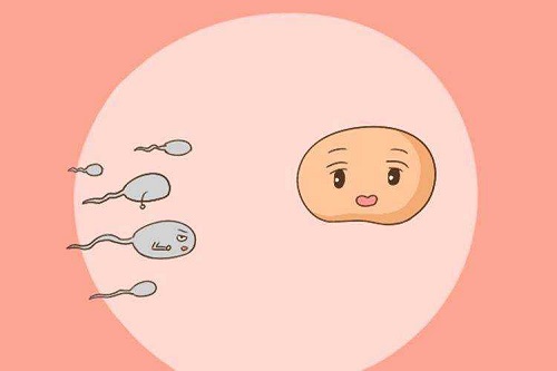 试管婴儿可以去要求生出吗