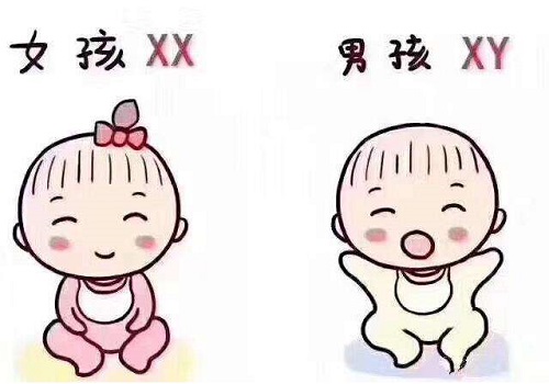 试管婴儿和人工受孕有什么区别？看完涨见识了！