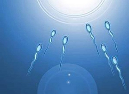 美国试管婴儿：囊胚通过基因筛查后的着床率有多少？