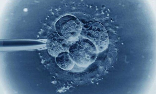 试管婴儿取几个卵就得到几个胚胎，不是吗？