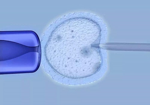 试管婴儿技术如何平衡成功率与助孕安全？