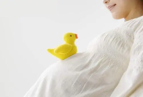试管婴儿哪好？试管婴儿成功率高？