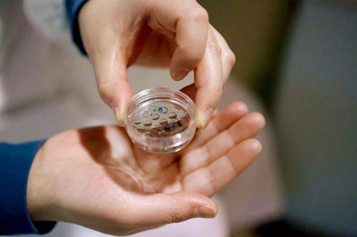 35岁以上的女性去美国做试管，要做哪些检查？