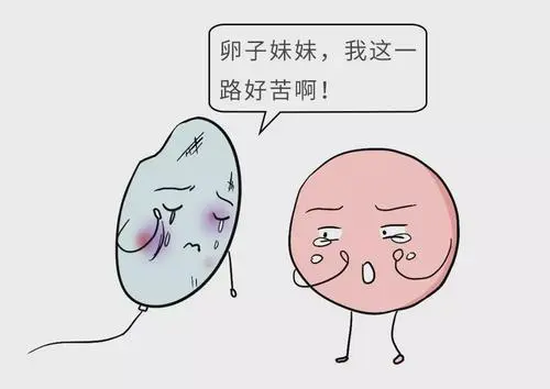 试管婴儿多少钱一次_2