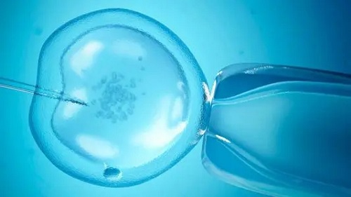 试管婴儿后悔坑人：胚胎质量差会导致胎儿畸形，是吗？