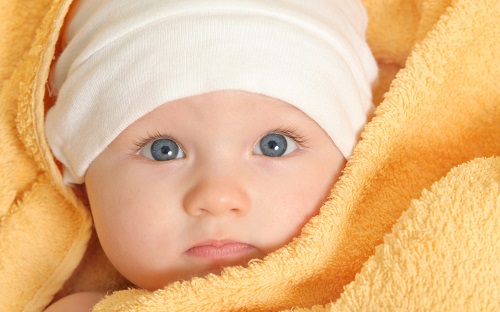 美国试管婴儿鲜胚移植成功率高？还是冻胚成功率高？