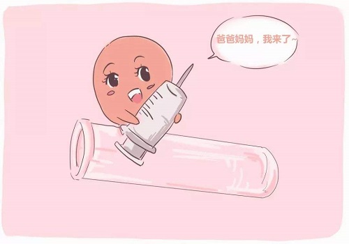 试管婴儿取卵跟移植过程痛苦吗？