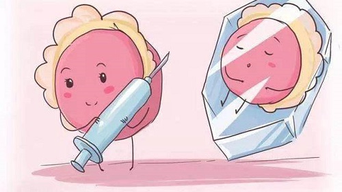 试管婴儿很难一次成功？别掉进这些“坑”