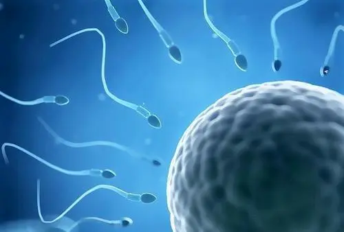 试管婴儿好不好？4方面分析一下