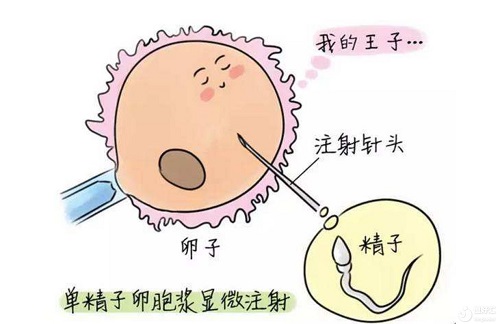 选择好的泰国试管婴儿医院降低手术失败率