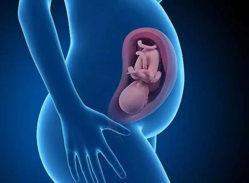 试管婴儿哪好？试管婴儿成功率高？