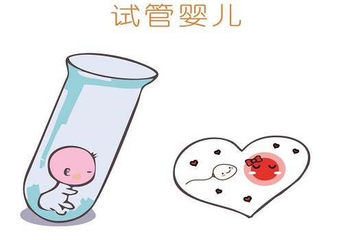 全面解析影响美国试管婴儿胚胎着床率的因素