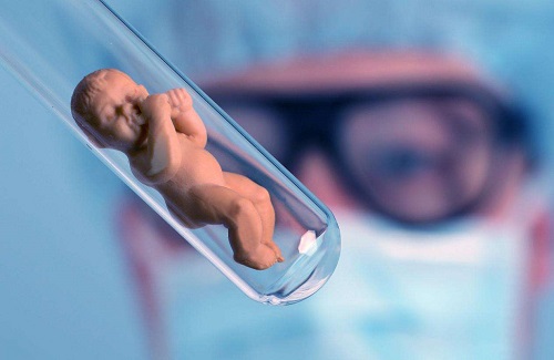 胚胎碎片能降低俄罗斯试管婴儿一次成功概率