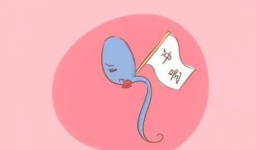 试管婴儿过程 揭秘试管婴儿移植后的四大注意事项