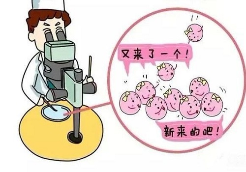 试管婴儿如何避免精子DNA碎片的影响？