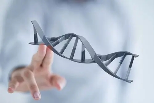 试管婴儿囊胚等级怎么分？哪些可以进行移植？