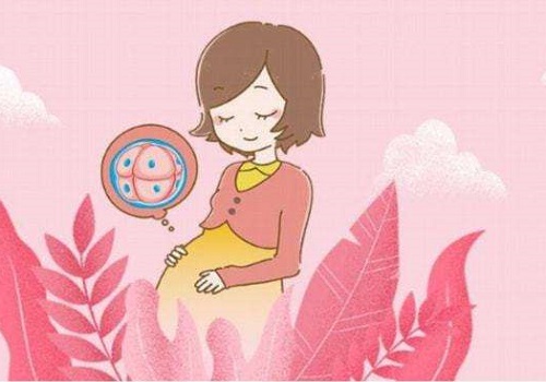 试管婴儿移植后饮食上该如何吃？
