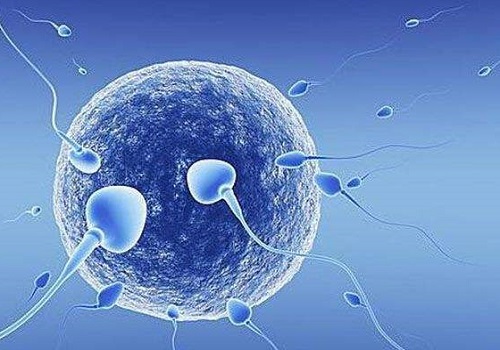 试管婴儿囊胚培养有哪些优势？