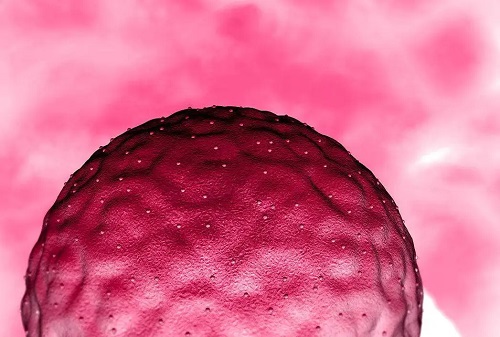 试管婴儿取卵后出现腹水怎么办？